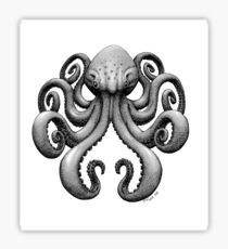 Octopus Sticker