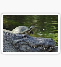 Alligator and Turtle, As Is Sticker
