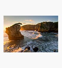 Resistance - NZ Photographic Print