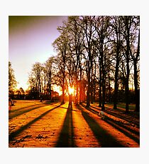 Day Dream Photographic Print