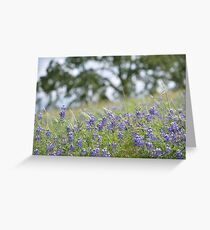 Lupin Meadow Greeting Card