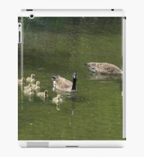 New Chapter iPad Case/Skin