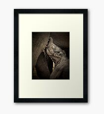 Lunch Time Framed Print
