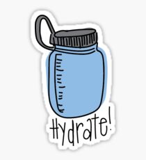 Hydrate Water Bottle Sticker