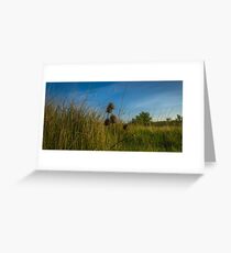 Riverbank Greeting Card