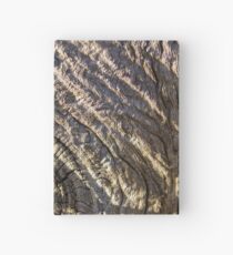 Minus 4 Degree C Early Morning Excursion (6) Hardcover Journal