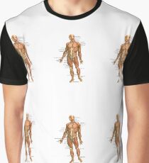 Body Muscles Graphic T-Shirt