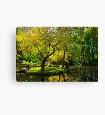 Alfred Nicholas Memorial Gardens Canvas Print