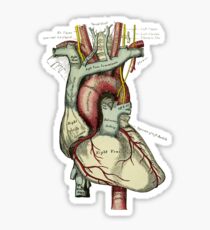 Graphic Coloured Heart Sticker