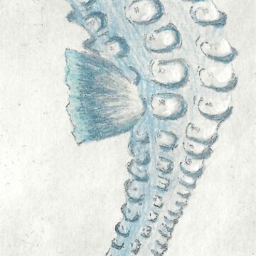 Artwork thumbnail, Seahorse etching and mixed media in blue  by LisaLeQuelenec