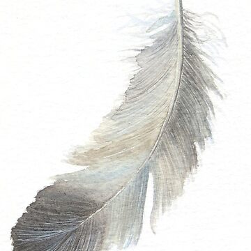 Artwork thumbnail, Feather in grey - study by LisaLeQuelenec