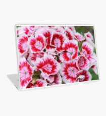 Pinks Laptop Skin