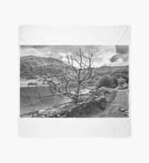 Old Tree at Rydal Water Scarf