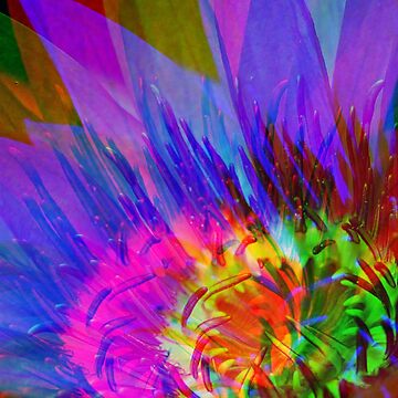 Artwork thumbnail, Abstract Water Lily by Risingphx