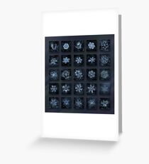 Snowflake collage - Season 2013 dark crystals Greeting Card