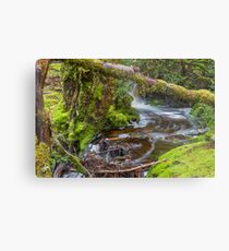 Weindofer's cascades 2 Metal Print