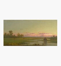 Martin Johnson Heade - Salt Marsh At Southport, Connecticut 1862. Field landscape: field landscape, nature, village, garden, flowers, trees, sun, rustic, countryside, sky and clouds, summer Photographic Print