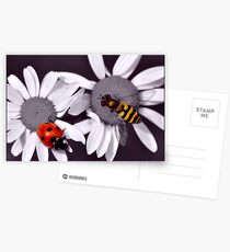 Selective colour Postcards