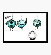 Feeling chirpy Photographic Print
