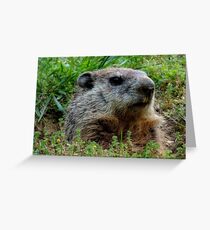 Groundhog Day Greeting Card
