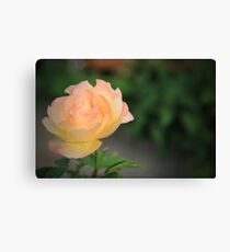 Simplicity in nature. Canvas Print