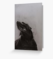 Black and white drawing, Labrador Retriever Grußkarte