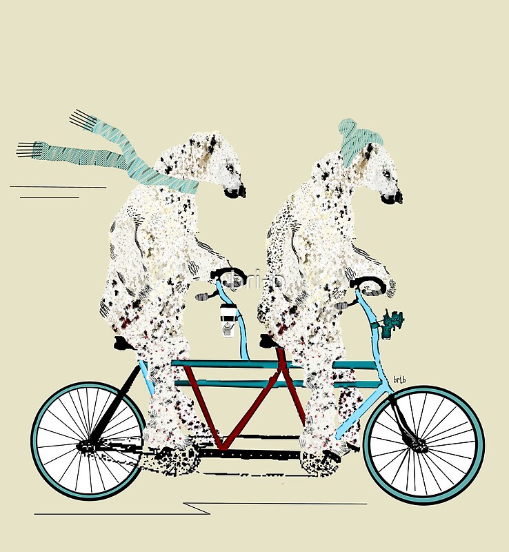 Cycling animals