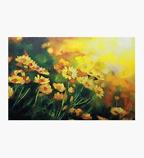 Daisies in the Sun landscape Flower painting by Samuel Durkin Photographic Print