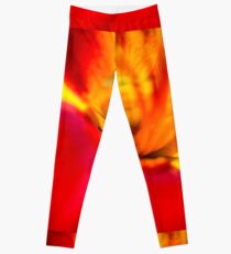 Cloudless Sulphur Phoebis Sennae Leggings
