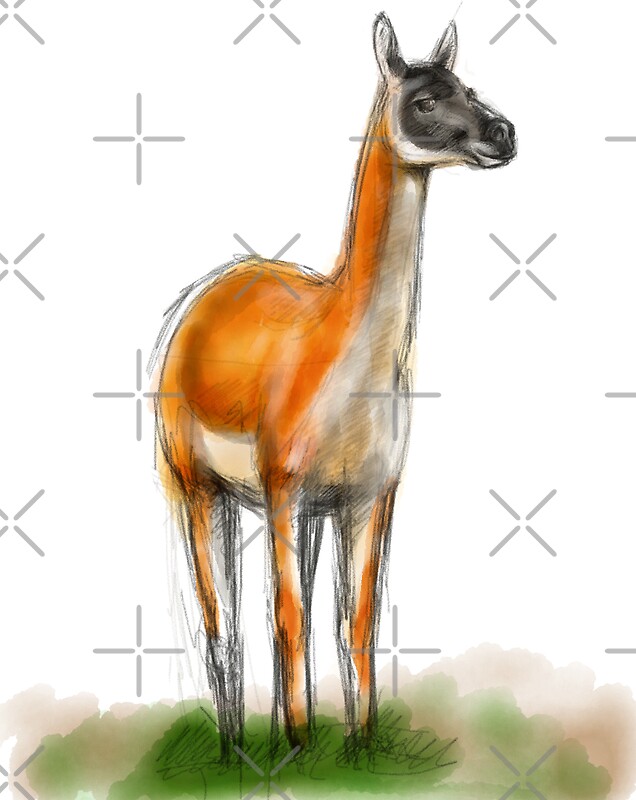 Guanaco Dibujo: Pegatinas | Redbubble