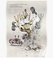 Real Life SpongeBob - Natural History Variant Poster