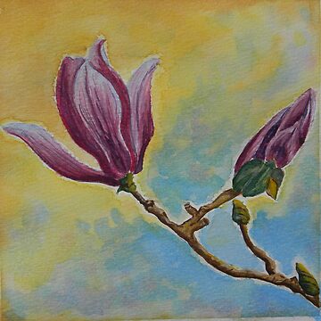 Artwork thumbnail, Magnolia Watercolor by tooty-mohr