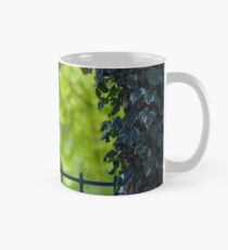 A Nice Spring Day Mug