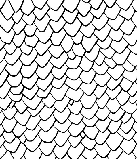 "Dragon Scales Clear" Poster by andio393 | Redbubble