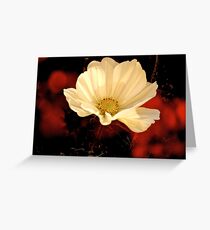 Garden Layers - Cosmea Greeting Card