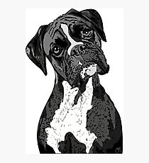 Black and White Boxer Art Photographic Print