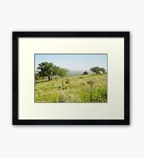 Green Desert Framed Print