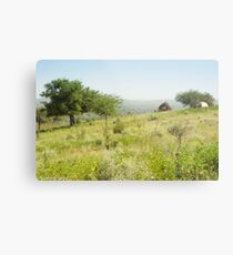 Green Desert Metal Print