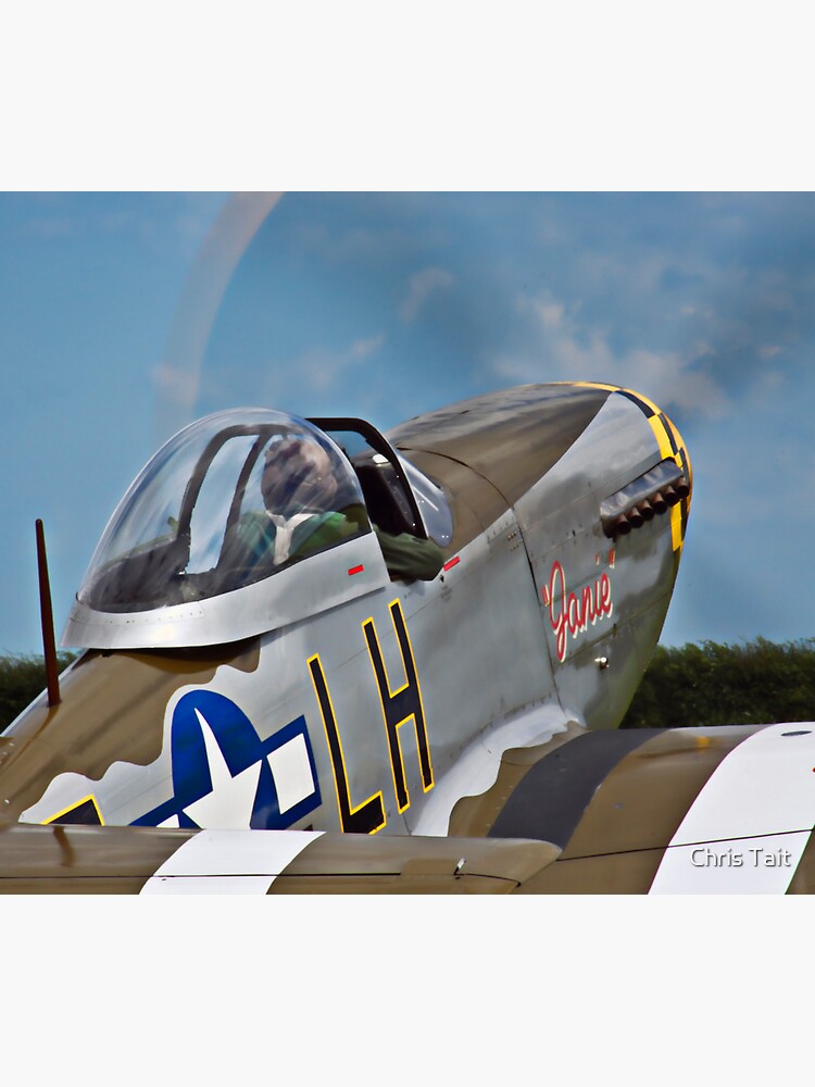 P-51D Mustang 'Janie' by christait
