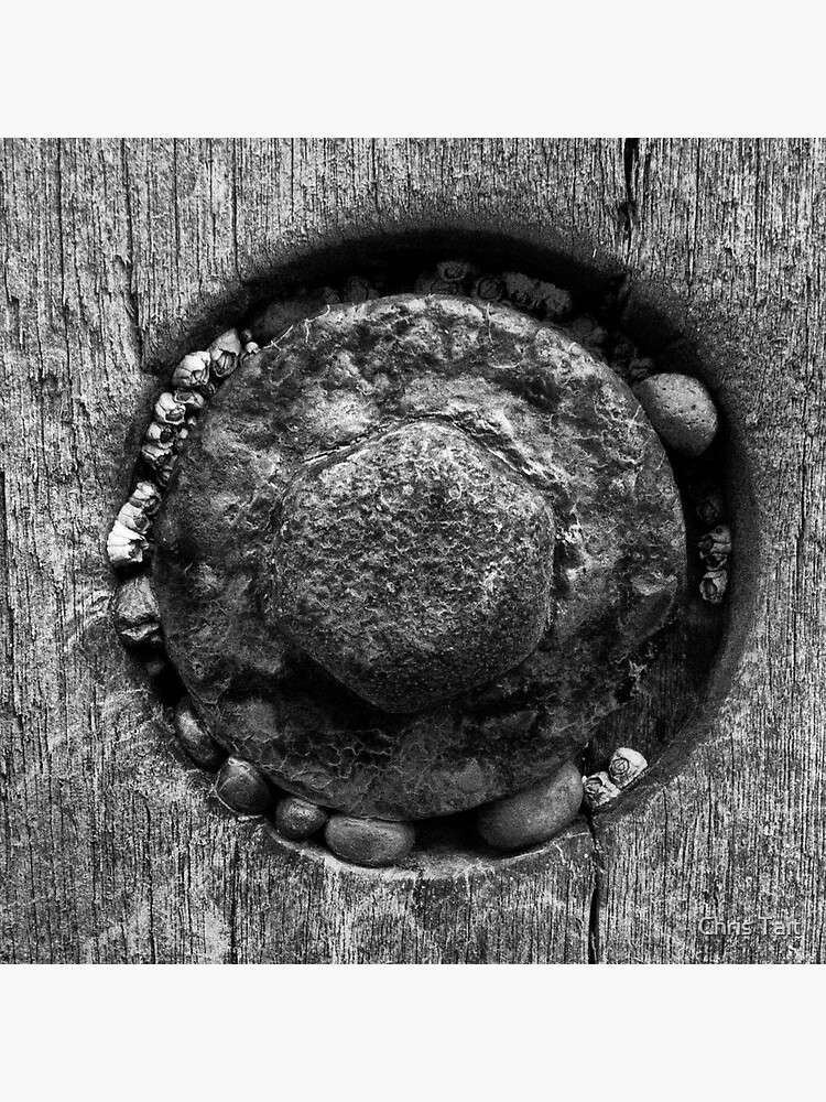 Beach Groyne Textures by christait