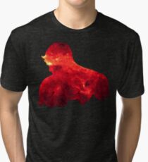 Devil Tri-blend T-Shirt