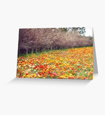 Changing Seasons Greeting Card