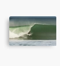 Regan Cartwright Canvas Print