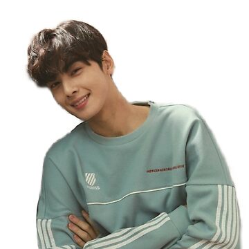 Cha eun woo astro member  Greeting Card for Sale by Divya21