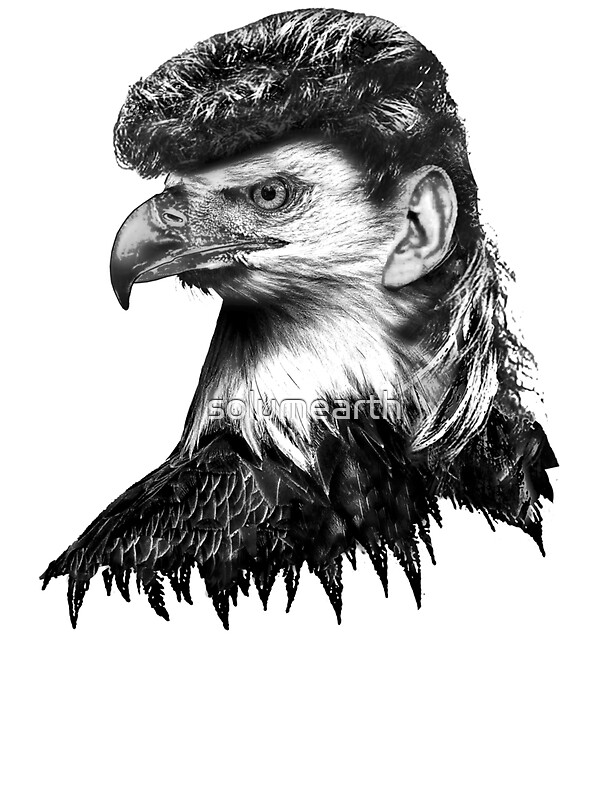 eagle with mullet