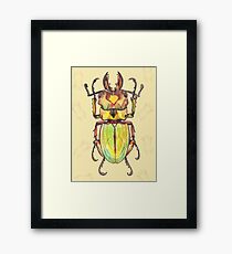 insect Framed Print