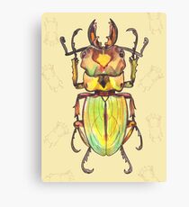 insect Canvas Print