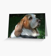 Gracie Greeting Card