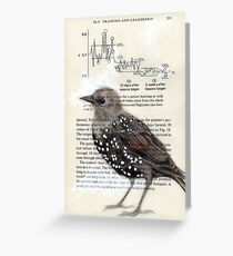 Starling Spots Greeting Card