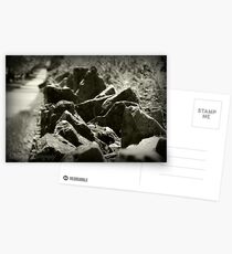 Rocky Flower Bed Postcards